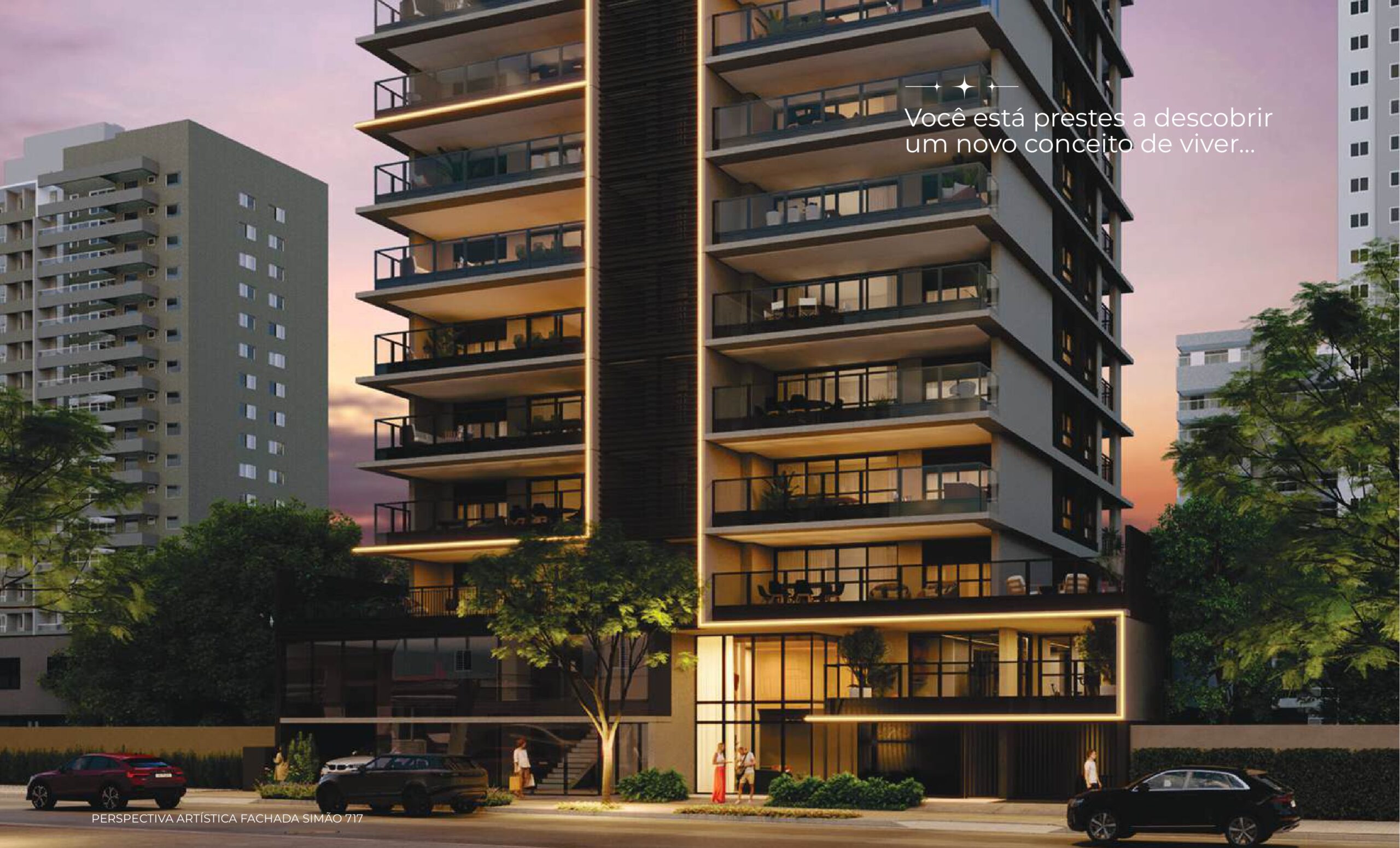 BOOK SIMAO 717 PINHEIROS_page-0002